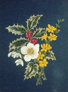 Hulst, kerstroos, sneeuwklokje en winterjasmijn door Ursula Hodgson